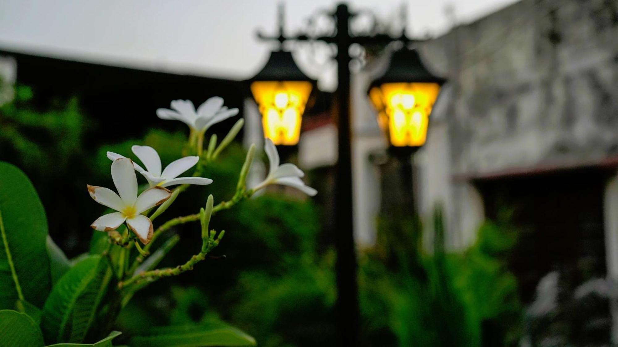 Stay Banaras - A Boutique Hotel バラナシ エクステリア 写真